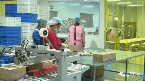 云夢(mèng)經(jīng)濟(jì)開發(fā)區(qū) 以完善服務(wù)體系為抓手，實(shí)現(xiàn)政企雙贏的信息系統(tǒng)運(yùn)行維護(hù)新篇章